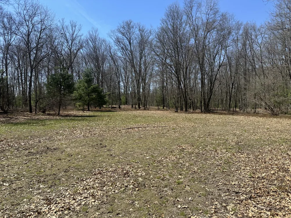 604 W Beaver Road Lilley Township, MI 49309