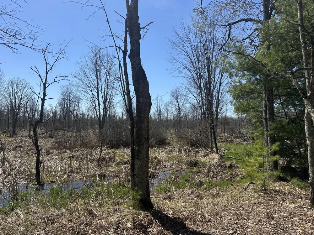 604 W Beaver Road Lilley Township, MI 49309