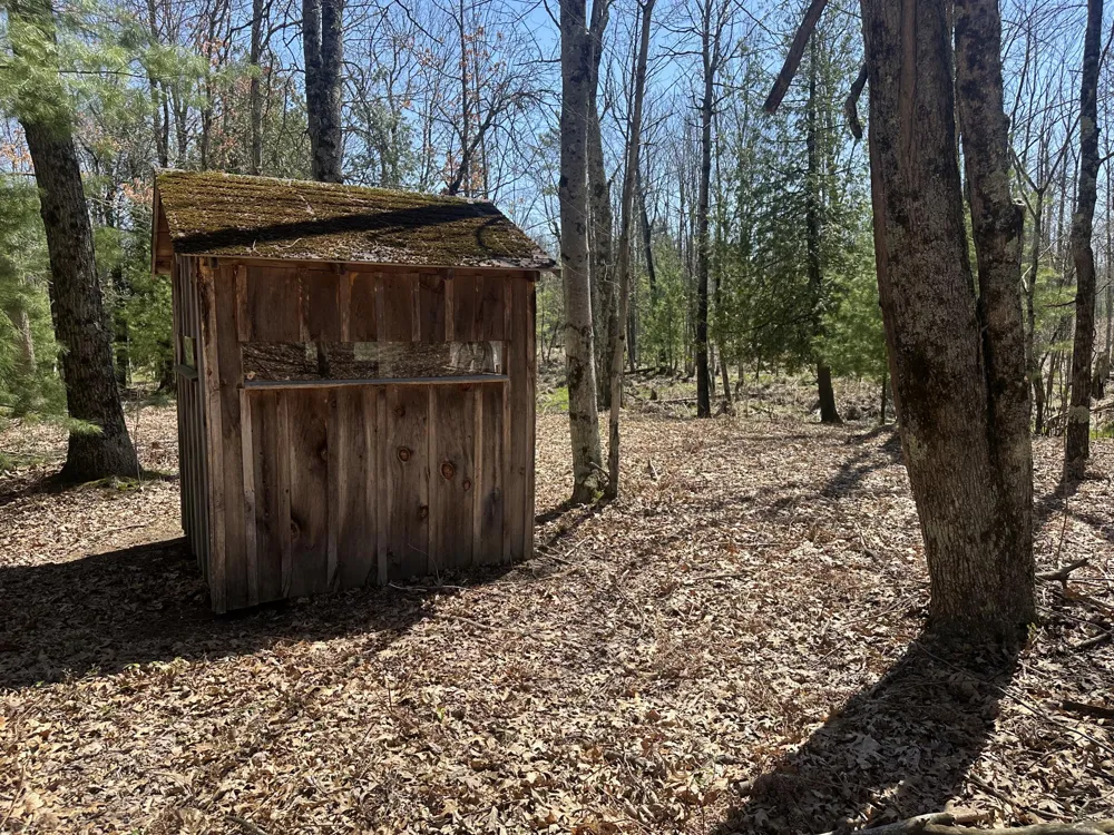 604 W Beaver Road Lilley Township, MI 49309