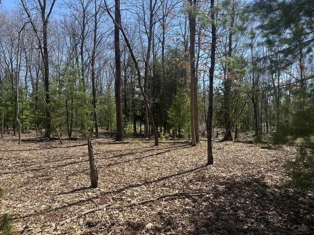 604 W Beaver Road Lilley Township, MI 49309