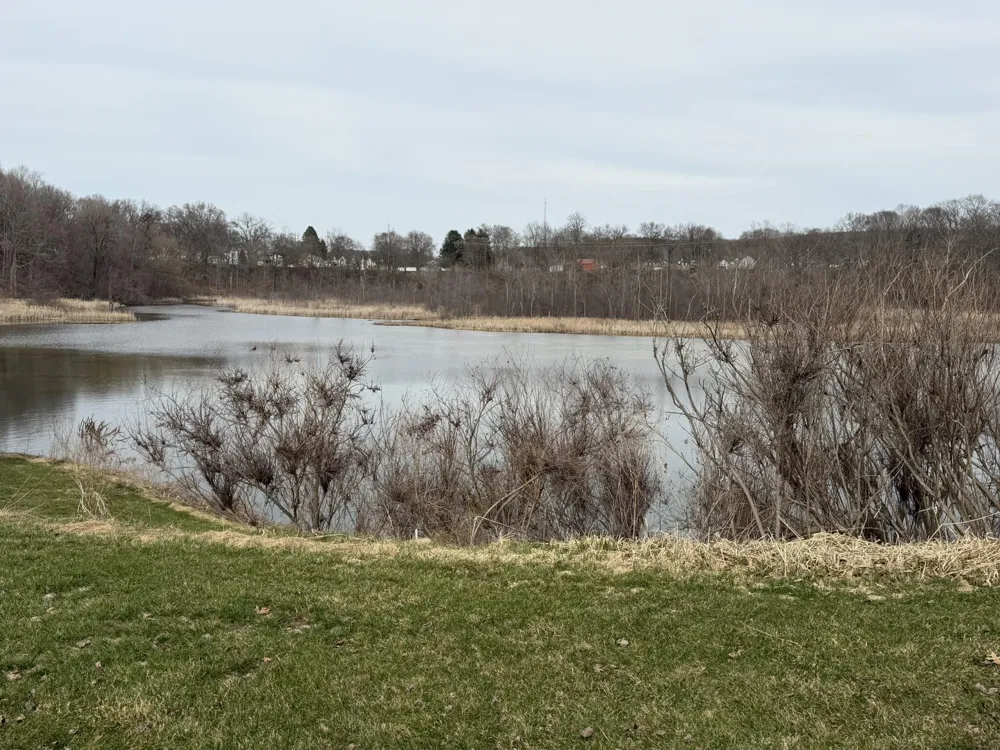 189 Mill Pond Drive #7 Thornapple Township, MI 49333