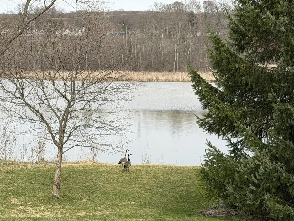 189 Mill Pond Drive #7 Thornapple Township, MI 49333