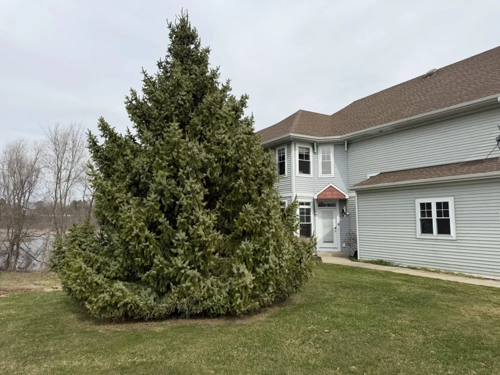 189 Mill Pond Drive #7 Thornapple Township, MI 49333