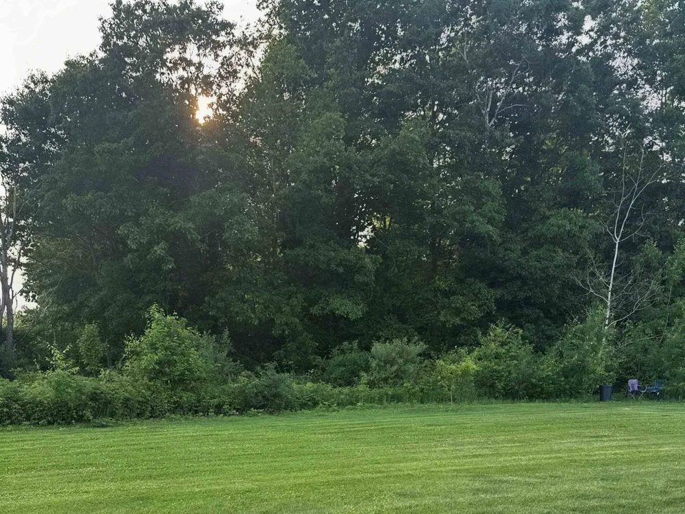 2578 White Deerfield Township, MI 48858