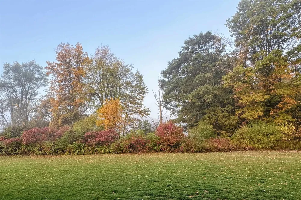 2578 White Deerfield Township, MI 48858