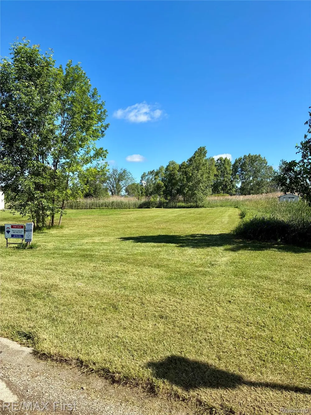 39 Deer Park Capac Village, MI 48014