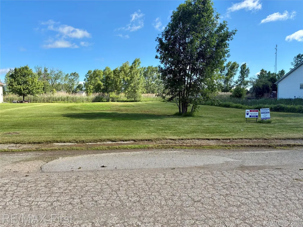 39 Deer Park Capac Village, MI 48014