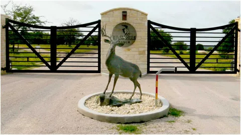 6 Cattle Trail