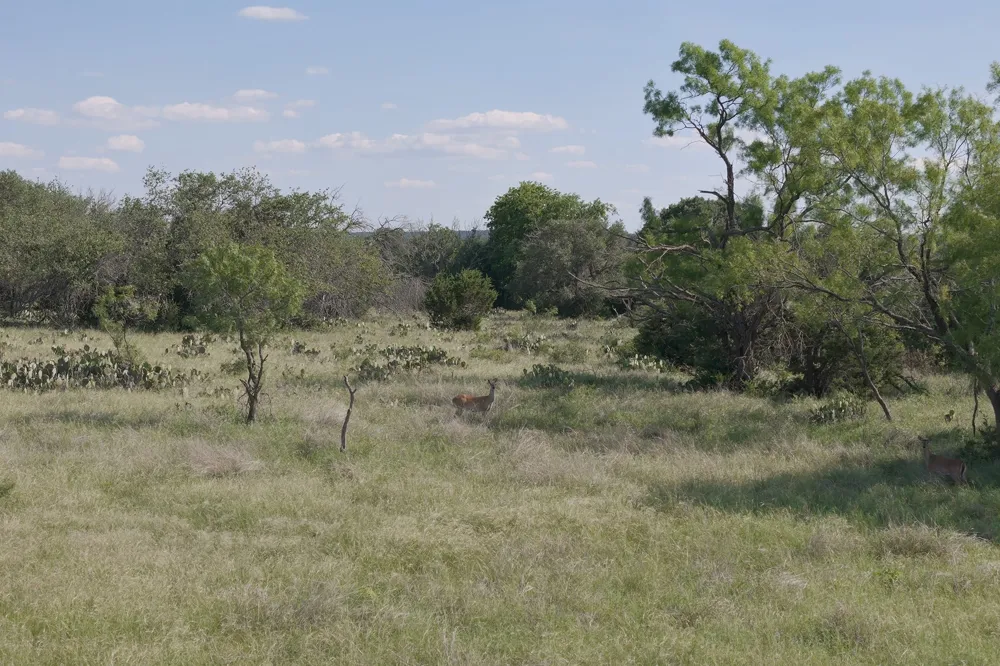 6 Cattle Trail Kempner, TX 76539