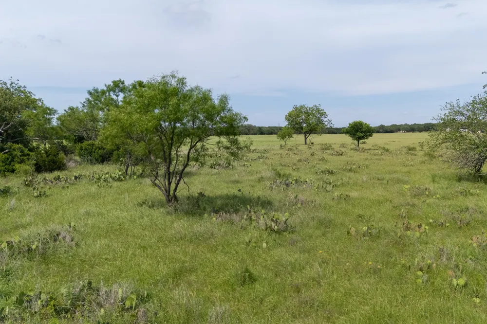 6 Cattle Trail Kempner, TX 76539