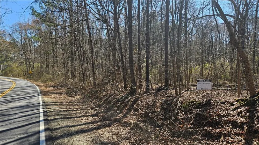 0 Cook Drive Ellenwood, GA 30294