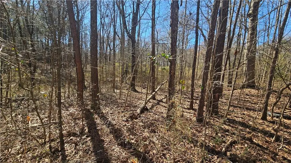 0 Cook Drive Ellenwood, GA 30294