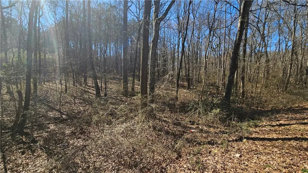 0 Cook Drive Ellenwood, GA 30294