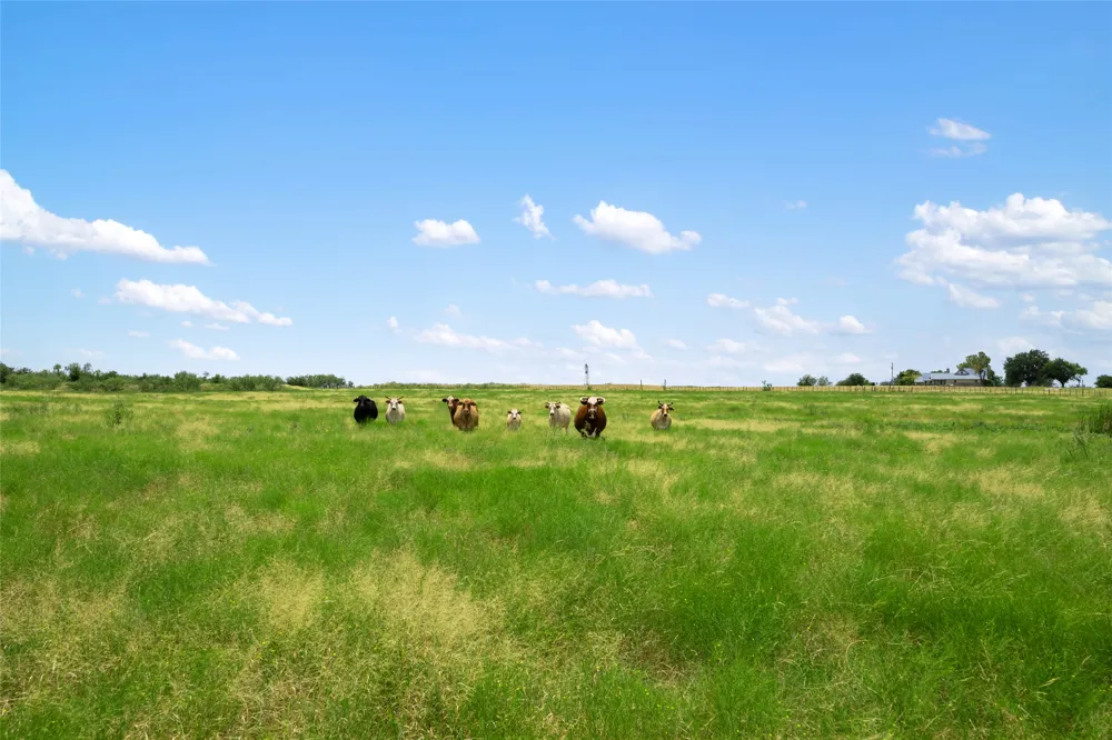 1775 County Road 305 Road Jarrell, TX 76537
