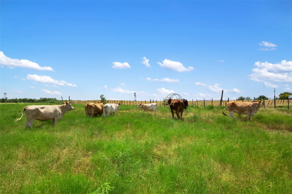 1775 County Road 305 Road Jarrell, TX 76537