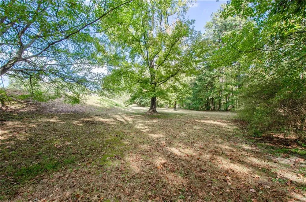 1846 Dorminey Court Lawrenceville, GA 30043
