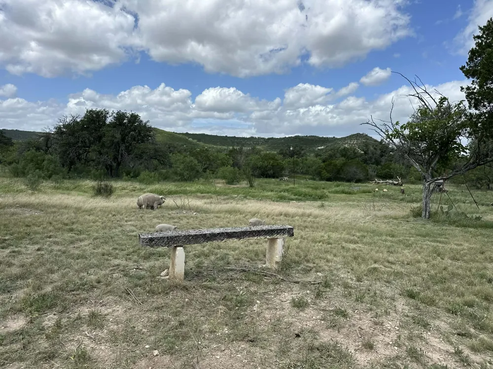 810 KC 271 Junction, TX 76849