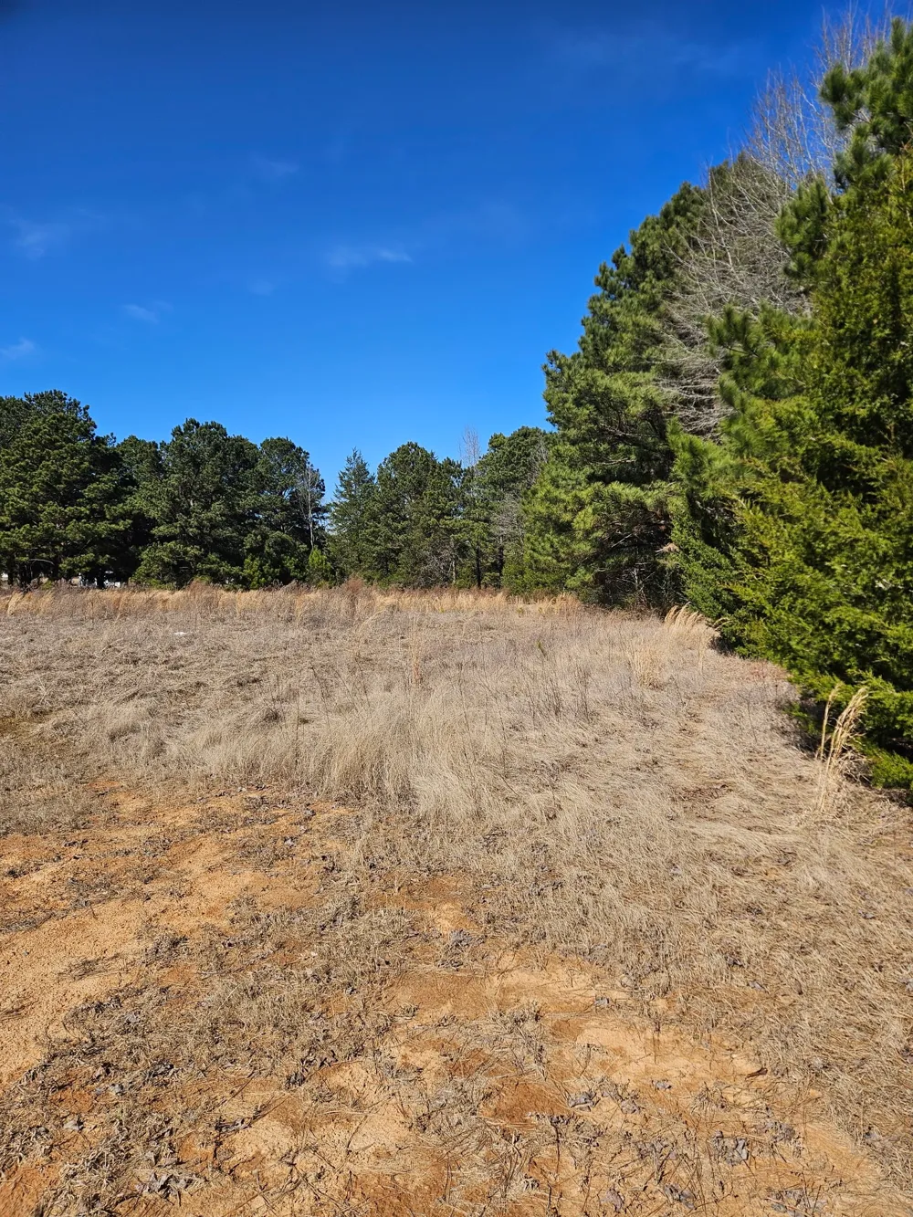 6 Jacklyn Lane Diana, TX 75640