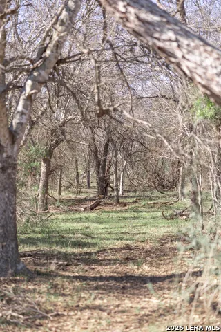 3190 Pittman Rd St.Hedwig, TX 78152