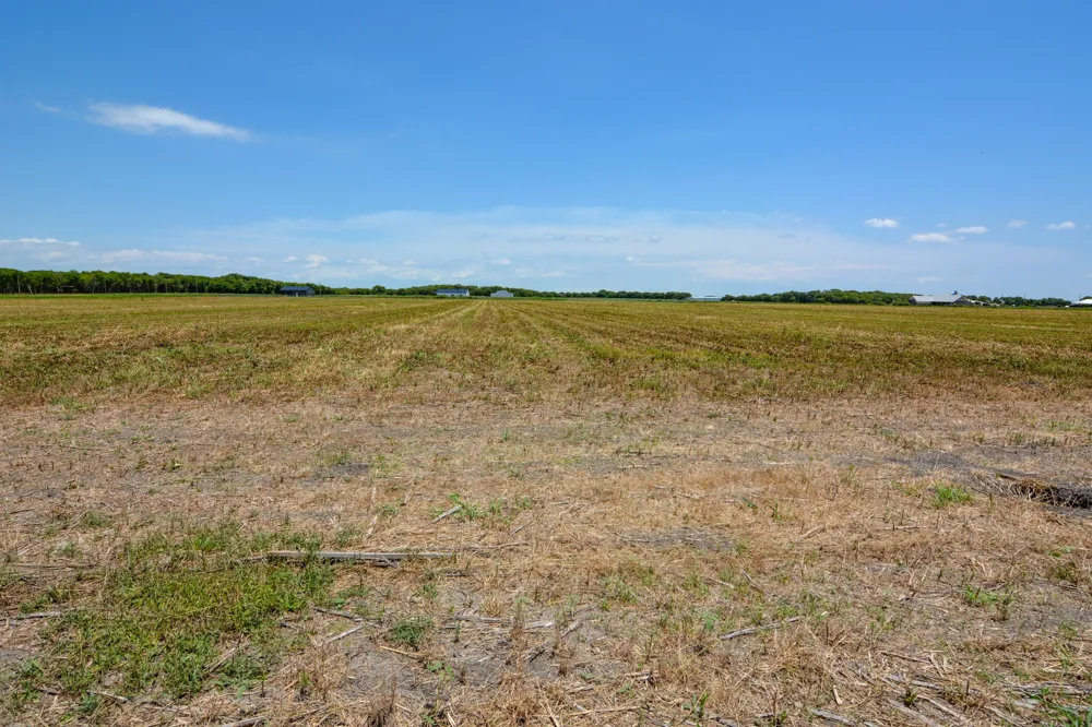 9117 County Road 101A Grandview, TX 76050