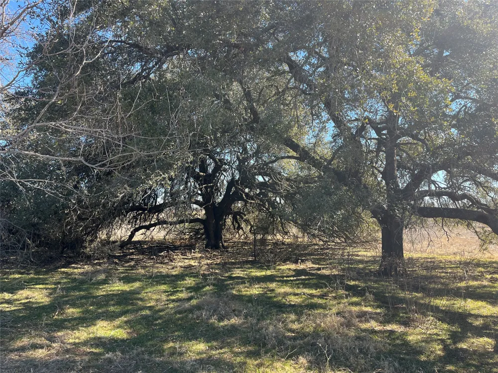 6164 County Road 264 Dublin, TX 76446