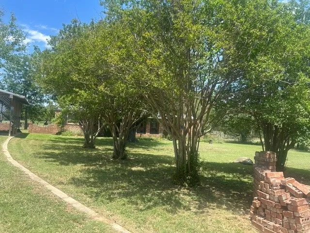 6164 County Road 264 Dublin, TX 76446