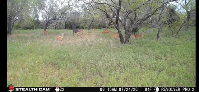 6164 County Road 264 Dublin, TX 76446