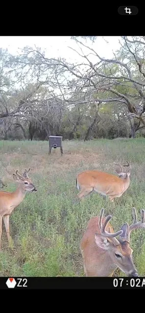 6164 County Road 264 Dublin, TX 76446