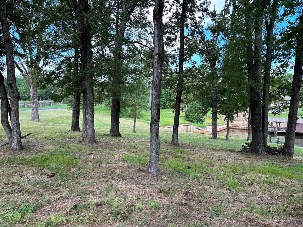 Jamison Drive Chandler, TX 75758