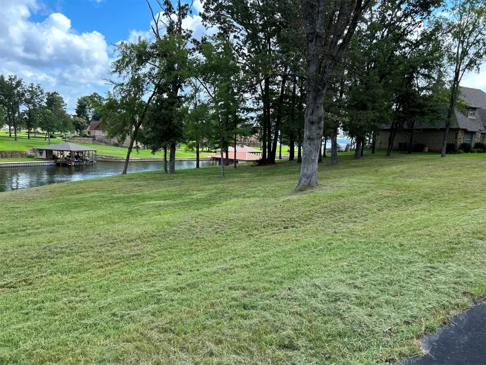 Jamison Drive Chandler, TX 75758