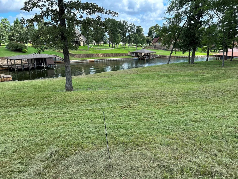 Jamison Drive Chandler, TX 75758