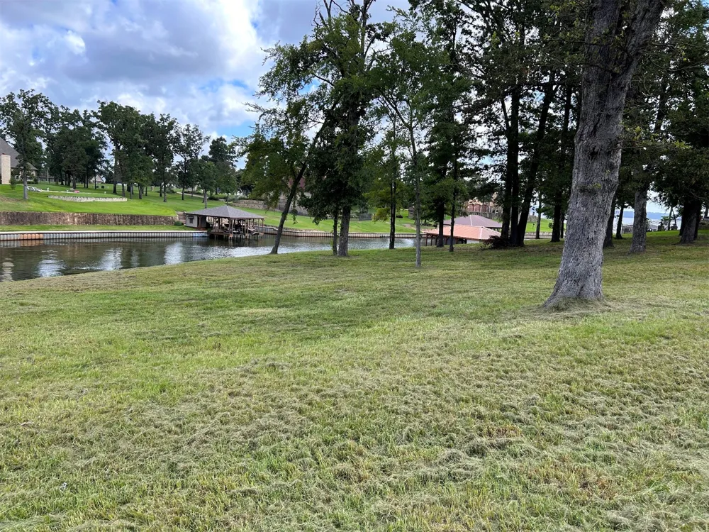 Jamison Drive Chandler, TX 75758