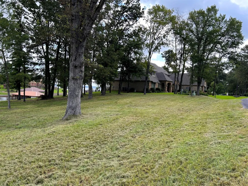 Jamison Drive Chandler, TX 75758