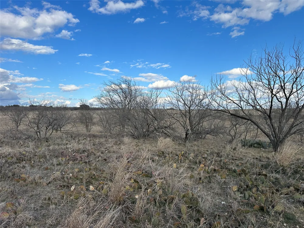 116 Comanche Lake Road Comanche, TX 76442