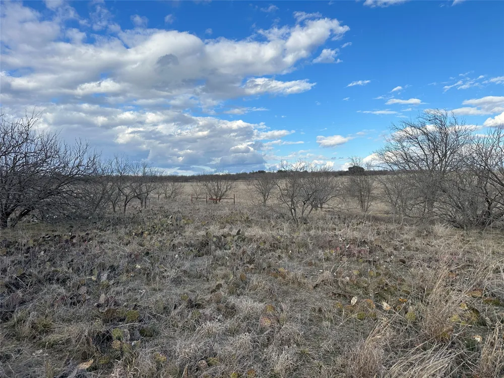 116 Comanche Lake Road Comanche, TX 76442
