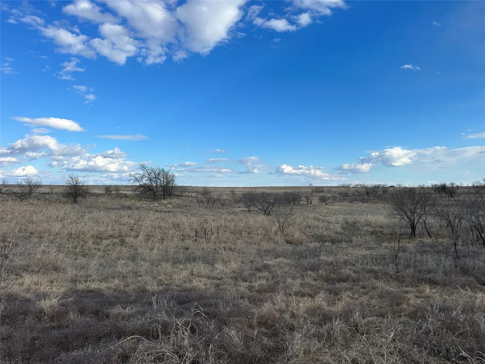 116 Comanche Lake Road Comanche, TX 76442