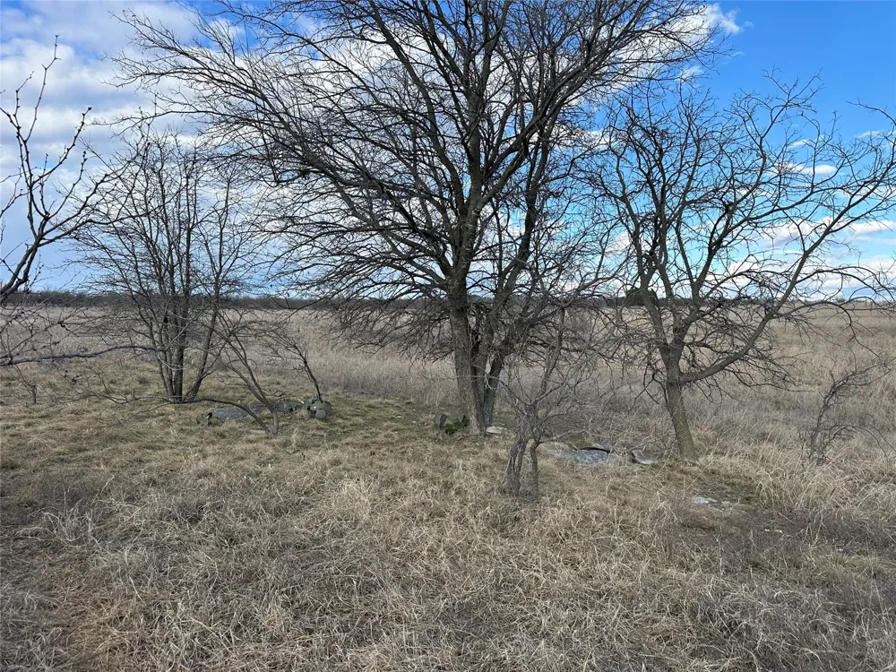 116 Comanche Lake Road Comanche, TX 76442