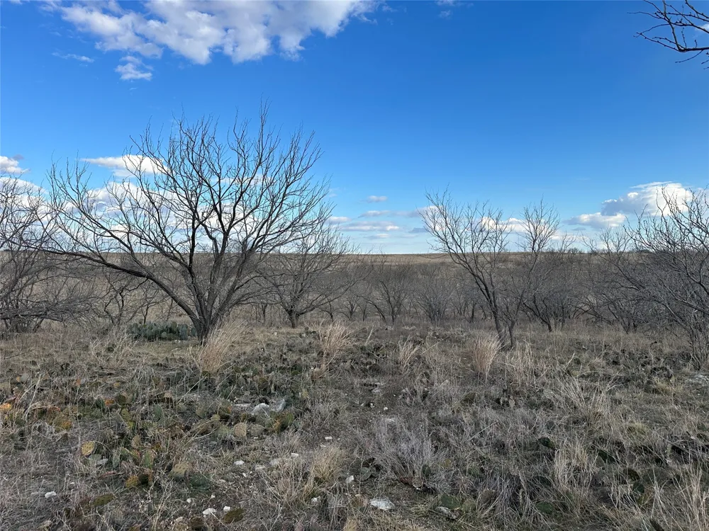116 Comanche Lake Road Comanche, TX 76442