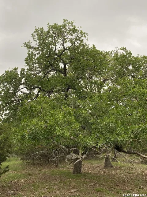 106 Ulmus Fredericksburg, TX 78624