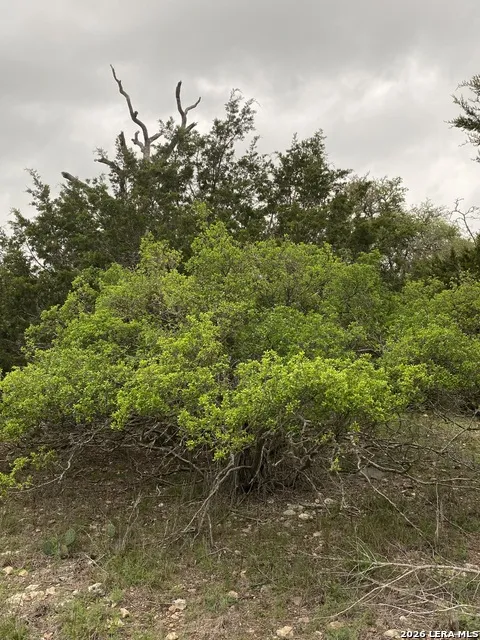 106 Ulmus Fredericksburg, TX 78624