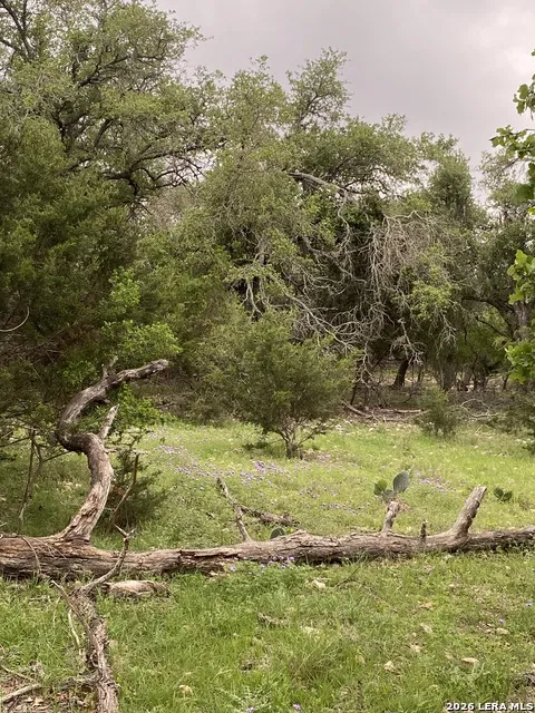 106 Ulmus Fredericksburg, TX 78624