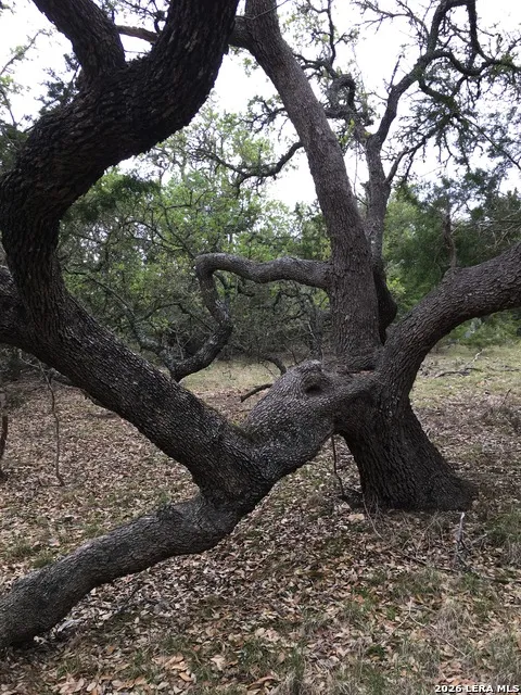 106 Ulmus Fredericksburg, TX 78624