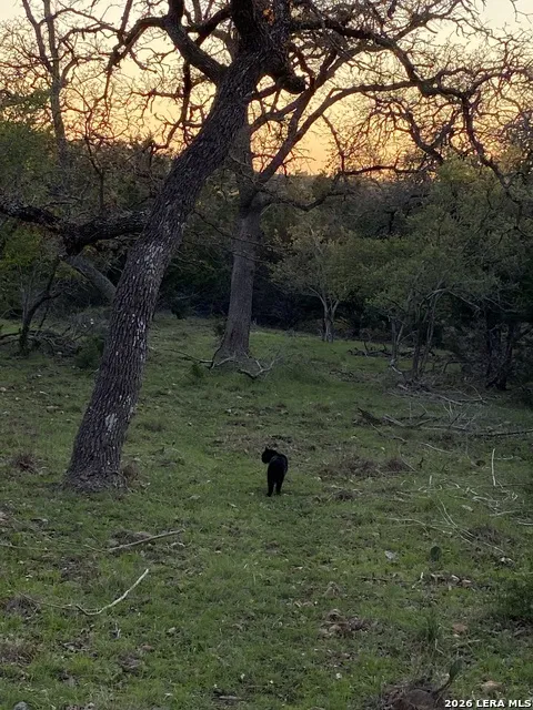 106 Ulmus Fredericksburg, TX 78624