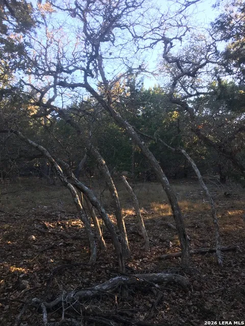106 Ulmus Fredericksburg, TX 78624