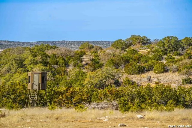 15019 County Road 310 Rocksprings, TX 78880