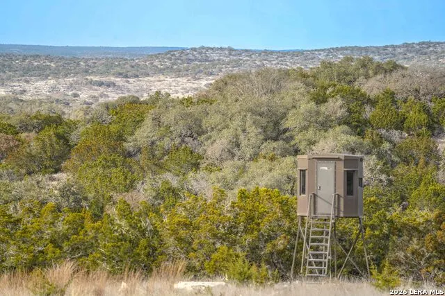15019 County Road 310 Rocksprings, TX 78880