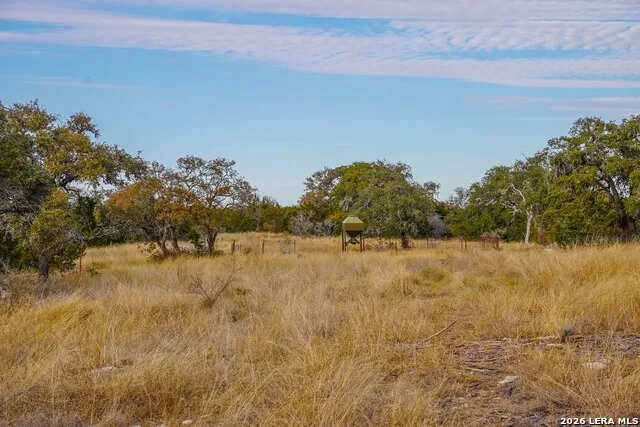 15019 County Road 310 Rocksprings, TX 78880