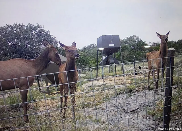 15019 County Road 310 Rocksprings, TX 78880