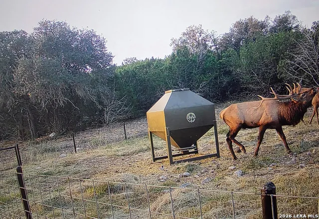 15019 County Road 310 Rocksprings, TX 78880