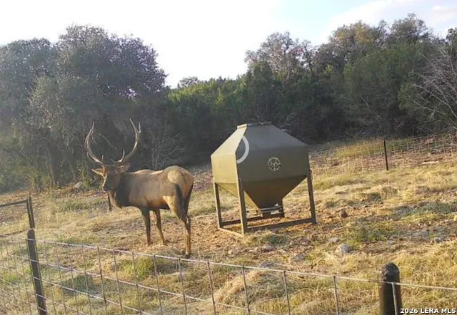 15019 County Road 310 Rocksprings, TX 78880
